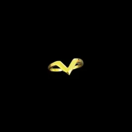 AN EM V