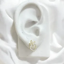 BR CORAÇÃO ZIRCONIAS