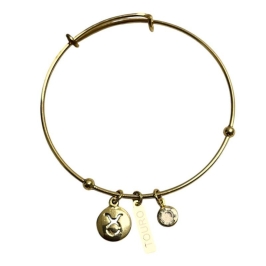 BRACELETE SIGNO TOURO