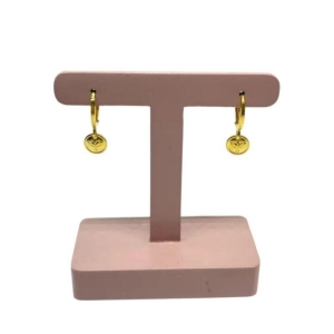 ARGOLA C/MEDALHA ESP SANTO P