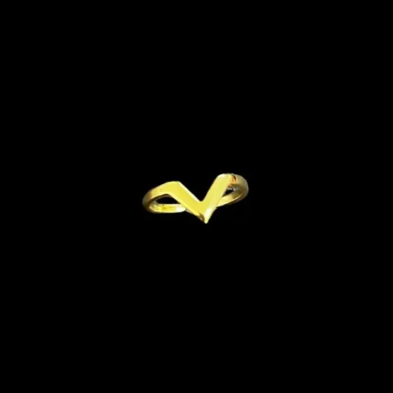 AN EM V