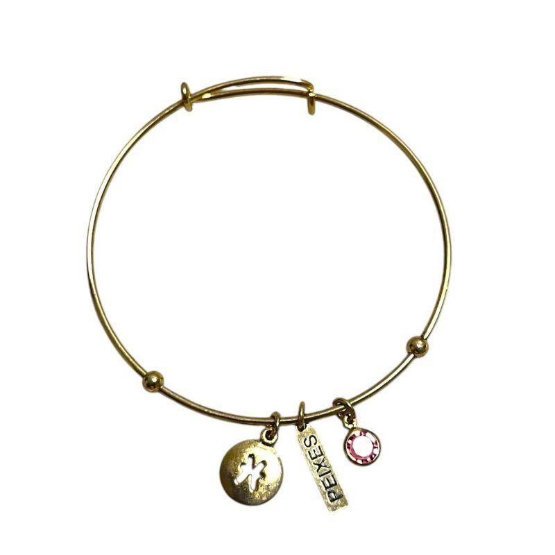 BRACELETE SIGNO PEIXES
